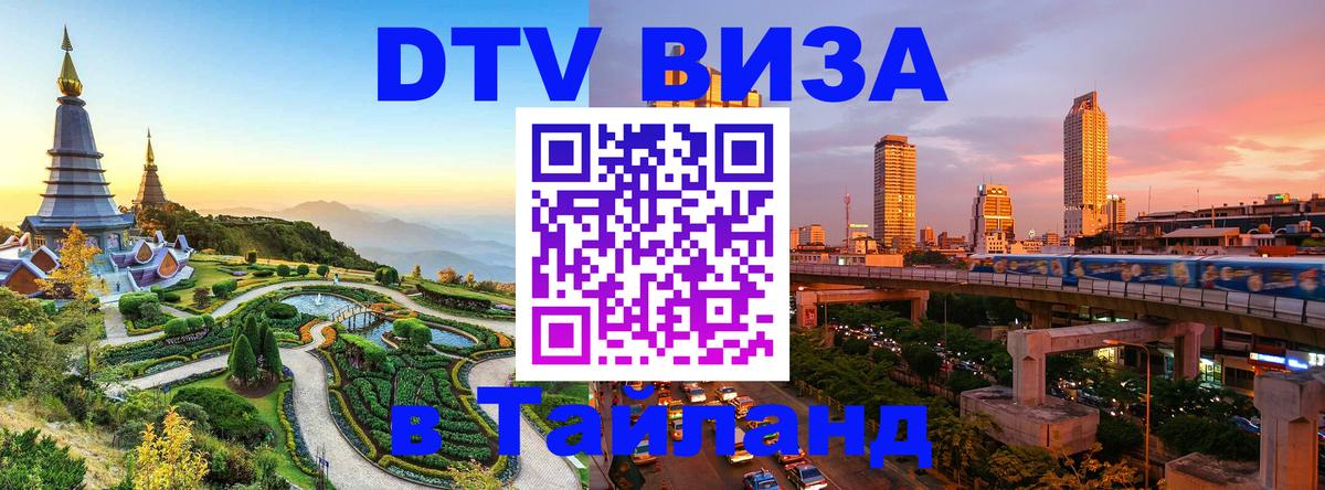 Сколько стоит DTV виза — актуальные цены, оформление даже без документов - Северодвинск 